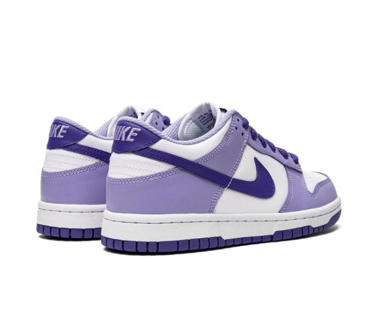 Nike Dunk GS ‘blueberry’